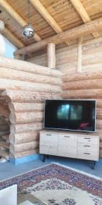 TV a schermo piatto in camera con pareti in legno di Oasis Chalet a Lisnău