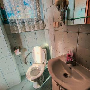 Koupelna v ubytování Tanie Noclegi Krysia Falsztyn