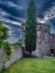 ein Baum vor einem Gebäude mit einer Wand in der Unterkunft La Torre della Casaforte Bergum alle porte di Cividale del Friuli in Cividale del Friuli