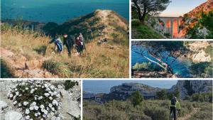 Příroda nedaleko apartmánu