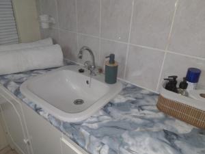 a bathroom sink with a marble counter top at Goose On Uitvlught Self Catering Accommodation Room2 in Montagu