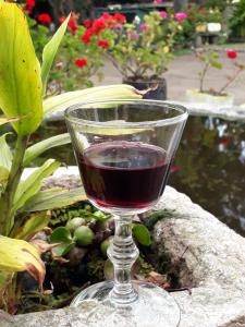 Nápoje v ubytování Starlight Mountain Lodge + 83 fotografií