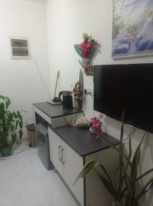 TV a/nebo společenská místnost v ubytování Save Sweet Home