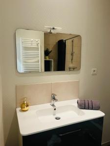 a bathroom with a white sink and a mirror at Le 5 - Spacieux 2 pièces Caen Centre Le Port in Caen