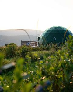 Příroda nedaleko prázdninového domu