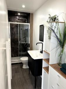 een badkamer met een toilet, een wastafel en een douche bij L'Oxygène -400m de la gare in Saint-Brieuc