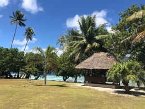 uma cabana numa praia com palmeiras e o oceano em Fare Ra'i em Ataiti