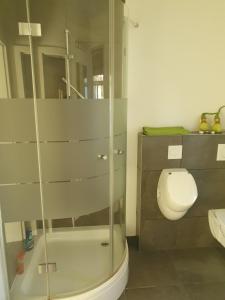 ein Badezimmer mit Toilette und Glasdusche in der Unterkunft Auf dem Bauernhof 