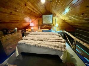Un dormitorio con una cama en una cabaña de madera. en Historic Sadie's Log Cabin, en McGregor