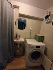 a bathroom with a washing machine and a sink at KissApartman in Kőszeg