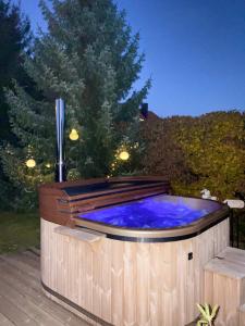a hot tub in a backyard at night at Vila EVIO Třeboň in Třeboň