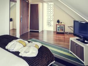 TV a/nebo společenská místnost v ubytování Mercure Strasbourg Centre Gare