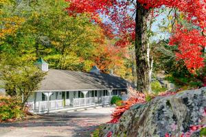 Φυσικό τοπίο κοντά σε αυτό το ξενοδοχείο