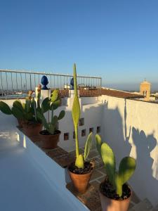 Billede fra billedgalleriet på Agave Urban Oasis in Matino i Matino