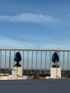 Billede fra billedgalleriet på Agave Urban Oasis in Matino i Matino + 19 billeder