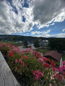 Blick auf einen Garten mit rosa Blumen in der Unterkunft Grunen Baum - Vöran in Vöran