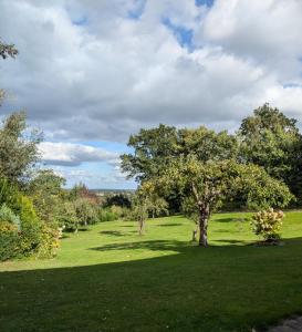 een groen veld met bomen in het midden bij Landhaus Freche Socke in Buchhorst