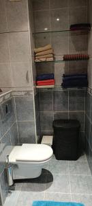 a bathroom with a toilet and some towels at Ruola in Kaunas +12 photos