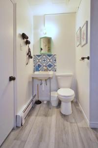 a bathroom with a white toilet and a sink at 1BR Backyard Bliss - Apt 6 in Bridgewater
