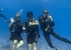 a group of scuba divers in the water at Monita Villa Rangiroa in Tiputa +24 photos