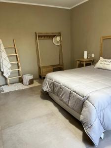 a bedroom with a bed and a ladder and a mirror at Casa Quinta in Chivilcoy