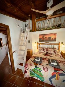 - une chambre avec un lit et une échelle dans l'établissement Pequeña África en El Gastor, à El Gastor