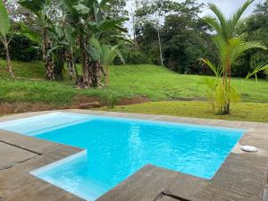 La alberca dentro o cerca de La Casa Mokarran 7 fotos más