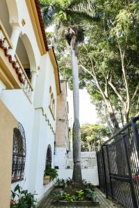 una palma davanti a un edificio di Casa del Viento 101 a Cali