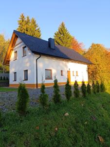 a white house with a black roof and some trees at Apartmány na Žlábku in Horní Planá
