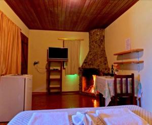 ein Wohnzimmer mit einem Kamin, einem TV und einem Bett in der Unterkunft Chalé Canário da Terra 2 in Visconde De Maua + 27 Fotos