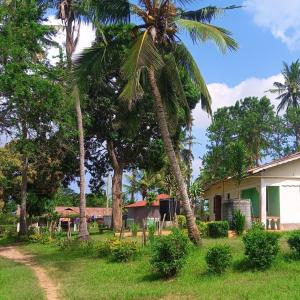eine Gruppe von Palmen vor einem Haus in der Unterkunft Giriama Village Lounge in Mombasa