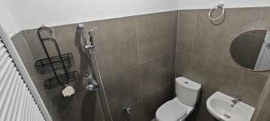 ein Bad mit einer Dusche, einem WC und einem Spiegel in der Unterkunft Cozy room right in the heart of the city, close to everything you need in Davao City