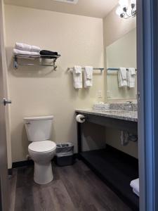 a bathroom with a toilet and a sink and a mirror at Iron Creek Inn & Suites in Upton