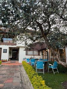 Κήπος έξω από το Suite del hotel Blau