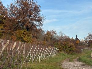 a wooden fence next to a dirt road at Gîte le Nid in Uffholtz +8 photos