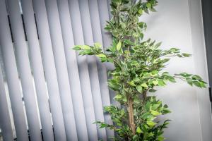 a plant in front of a window with white blinds at Central Modern 2BR Flat with Parking & Balcony in Liverpool