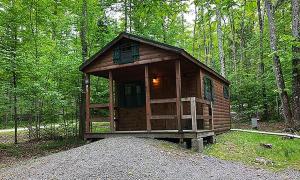 een houten huisje midden in een bos bij Jellystone Park PA Wilds in Mansfield