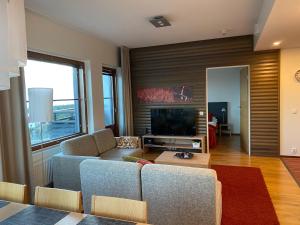 a living room with a couch and a tv at Ylläs Chalet 9501 in Ylläsjärvi