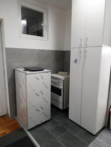 ヴァリェヴォにあるGrayのキッチン(コンロ、白い冷蔵庫付)