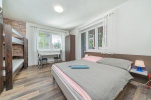 a bedroom with a bed and a desk and a table at Apartmany Agatha in Loučná nad Desnou