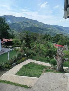 a garden with a tree and mountains in the background at Encantador refugio enclavado en las montañas in Guadual +13 photos