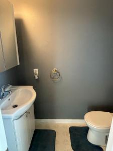 a bathroom with a sink and a toilet at Woodbridge Heritage Home in Vaughan +3 photos