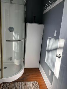 a bathroom with a shower and a glass door at Woodbridge Heritage Home in Vaughan