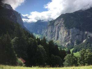 a view of a valley with trees and mountains at Rottal 4 Bett Wohnung in Mürren
