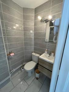 a bathroom with a toilet and a sink at Les Orchidées 1 in Le Tréport