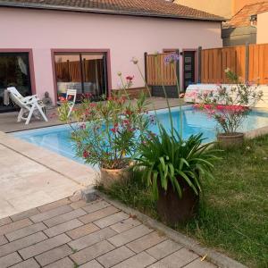 a swimming pool with plants in a yard at Les Rives du vignoble in Ingersheim