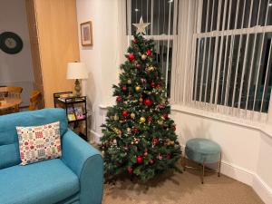 スランディドノにあるPrivate Parking, Central Llandudno, King Bed with Ensuite at Clement Lodgeの青いソファ付きのリビングルームのクリスマスツリー