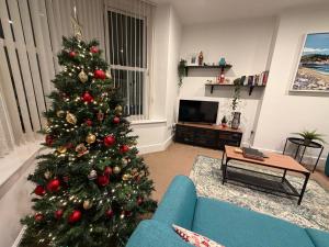 スランディドノにあるPrivate Parking, Central Llandudno, King Bed with Ensuite at Clement Lodgeの青いソファ付きのリビングルームのクリスマスツリー