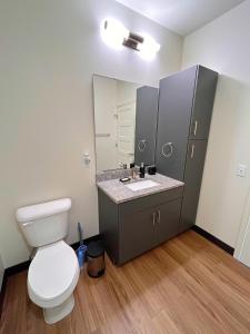 een badkamer met een toilet, een wastafel en een spiegel bij Purple Palace - Downtown STL Studio in Saint Louis