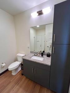 een badkamer met een wastafel, een toilet en een spiegel bij Purple Palace - Downtown STL Studio in Saint Louis